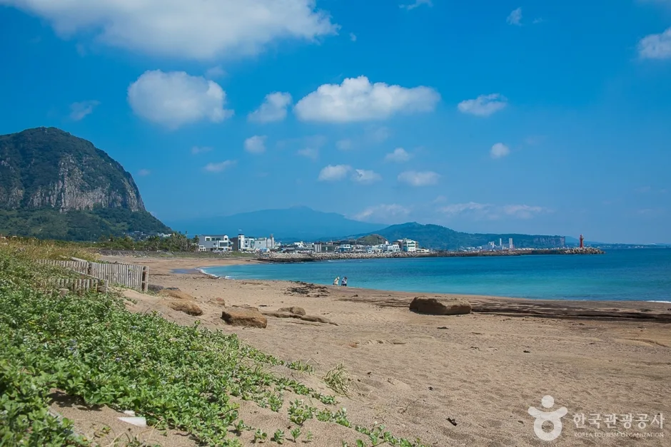 사계해변(13)