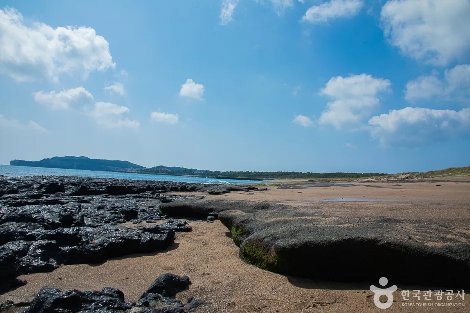 사계해변(1)