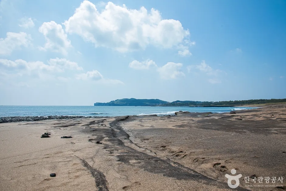 사계해변(17)