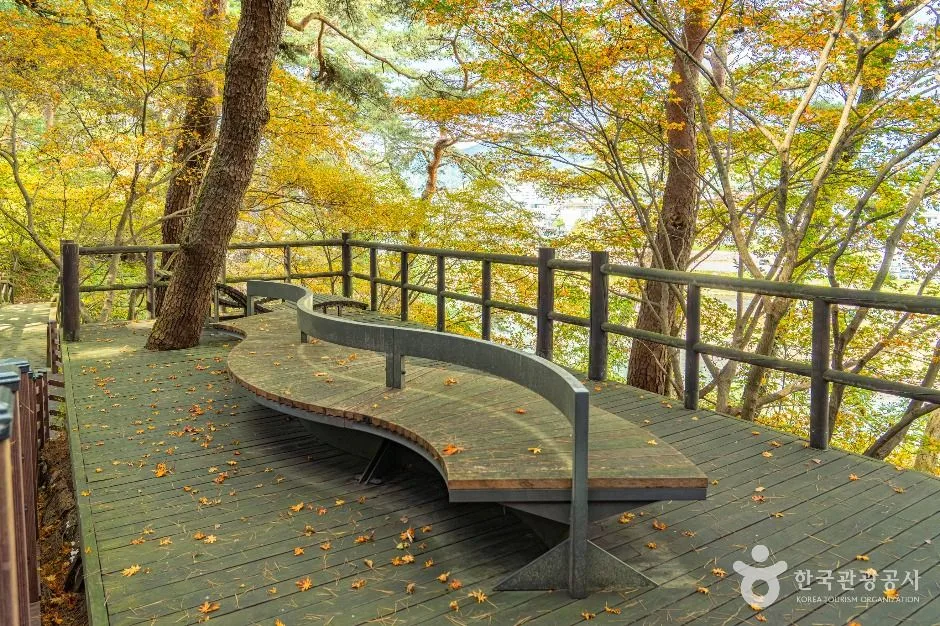 평창_평창 남산 둘레길 (5)