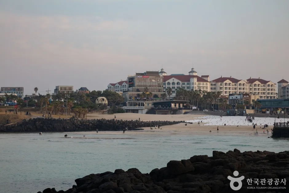 함덕 서우봉 해변 (함덕해수욕장) (3)