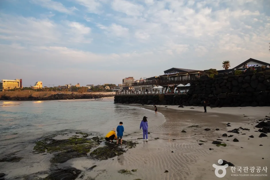 함덕 서우봉 해변 (함덕해수욕장) (6)
