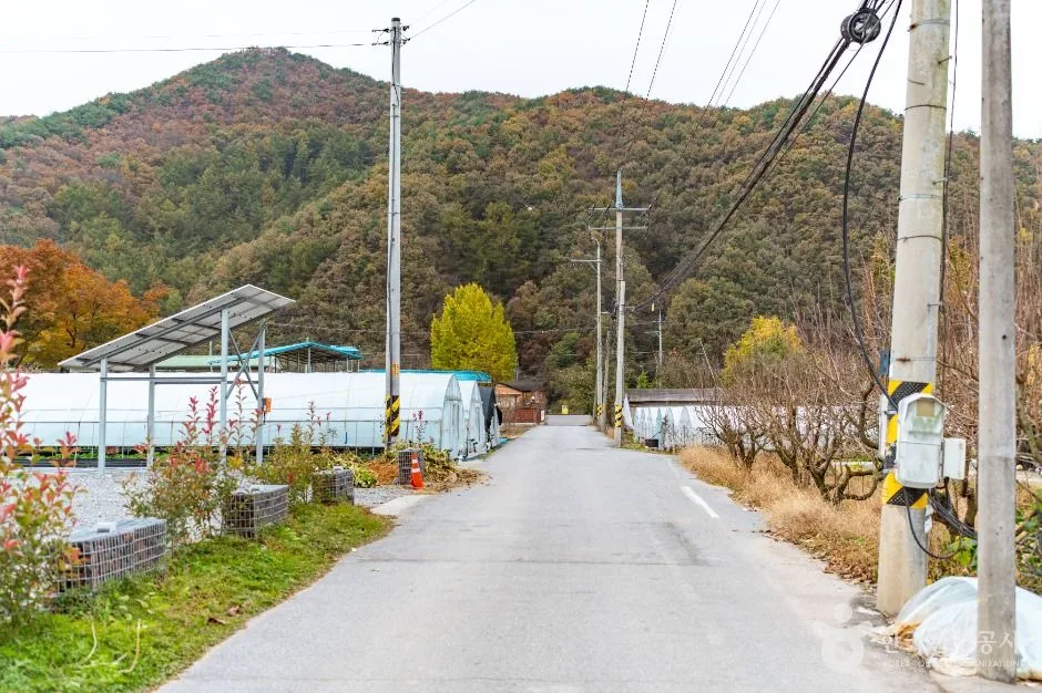 논산_도정딸기마을 (1)