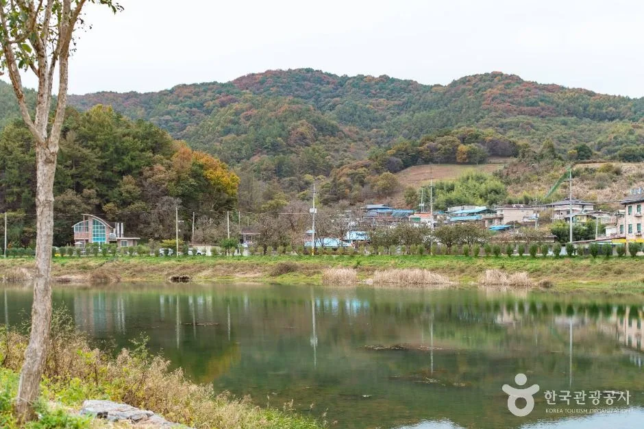 논산_도정딸기마을 (4)