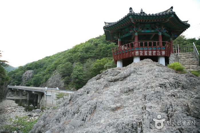 온몸을 감싸는 피톤치드와 홍삼의 향기