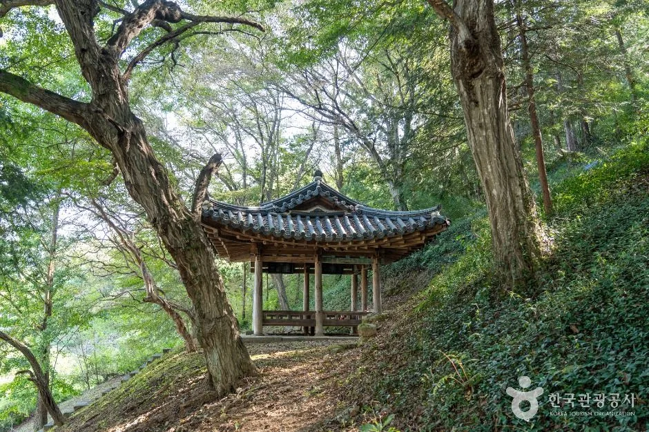 담양_남희정 (5)