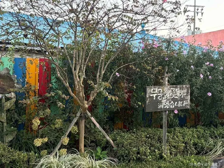 논산_와야리 벽화마을 (3).jpg