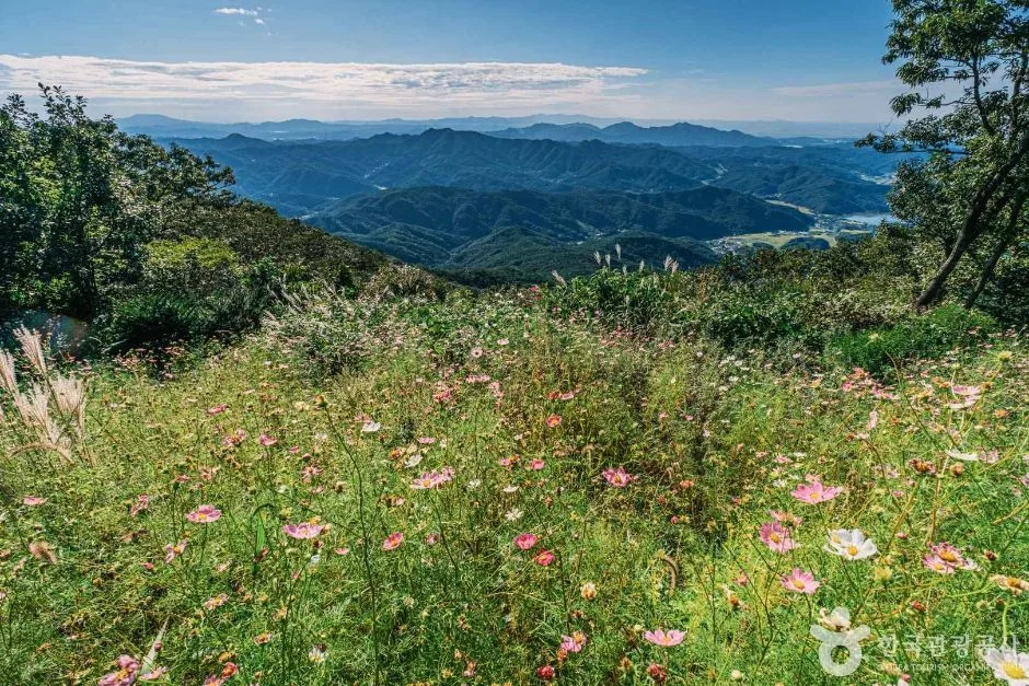 천안 광덕산 (3)
