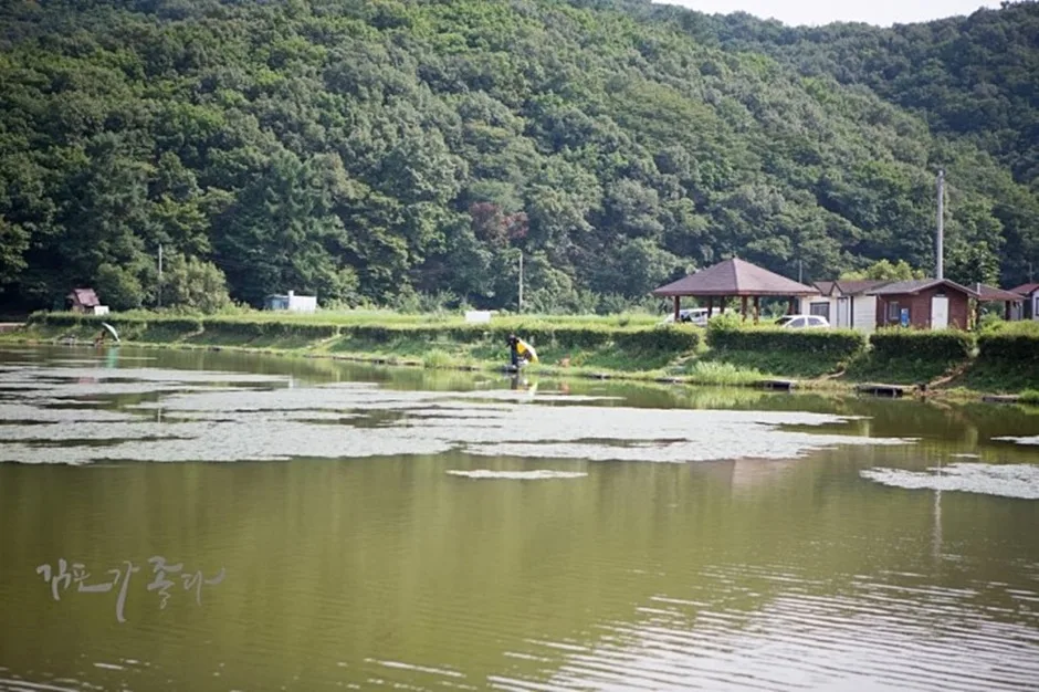 경기_김포시_조강저수지 (4).jpg