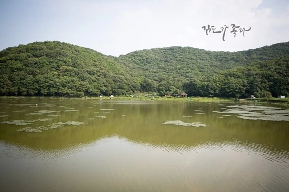 경기_김포시_조강저수지 (3).jpg