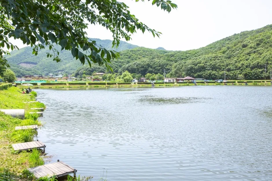 경기_김포시_조강저수지 (2).jpg