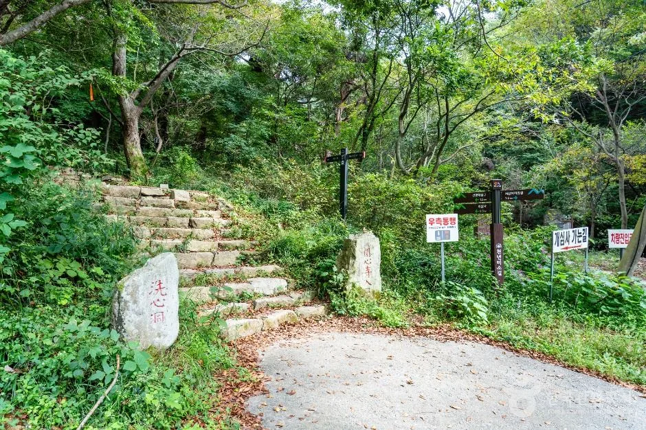 서산_개심사 가는 길 (4)