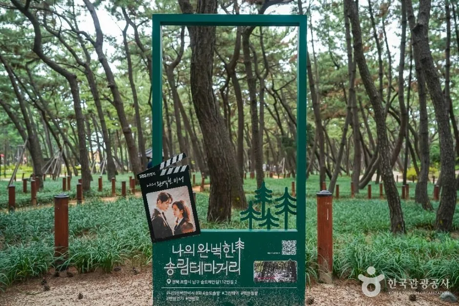 포항_송도솔밭도시숲 (3)