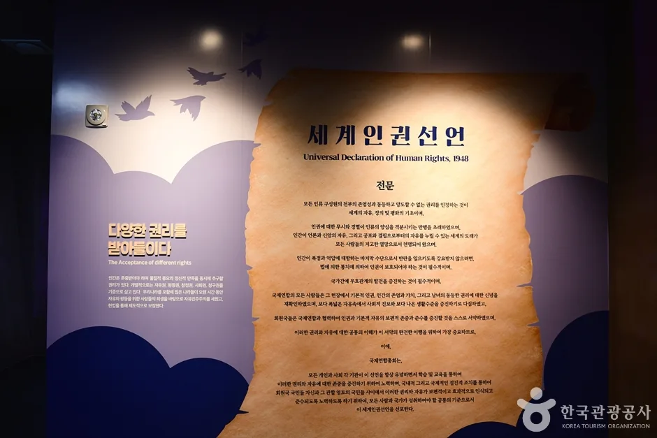 솔로몬로파크 (13)