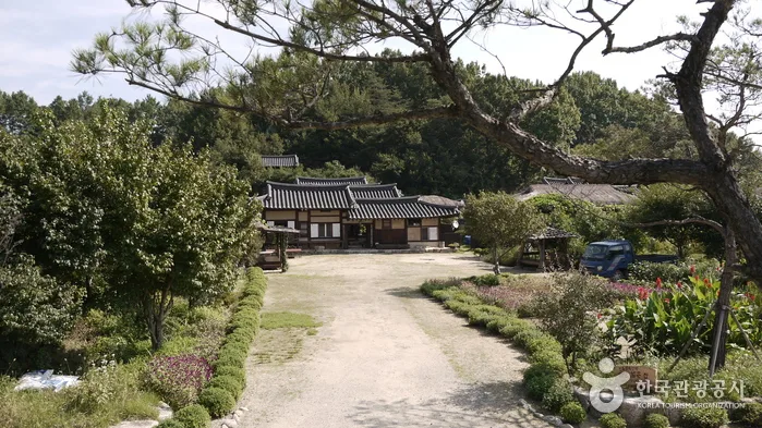 물돌이 무섬마을과 외나무다리를 밟아보다
