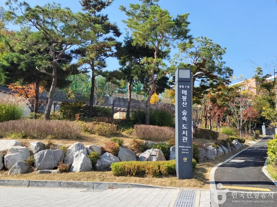 성동구립숲속도서관 (12)