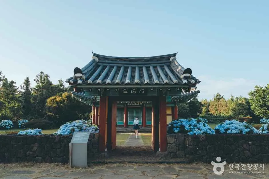 혼인지 (6)