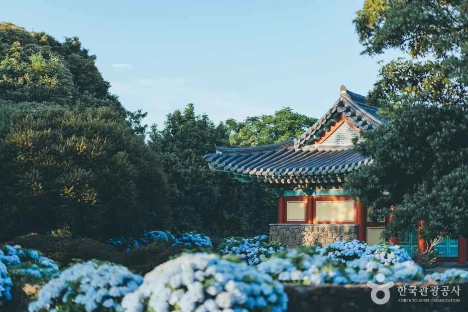 혼인지 (5)