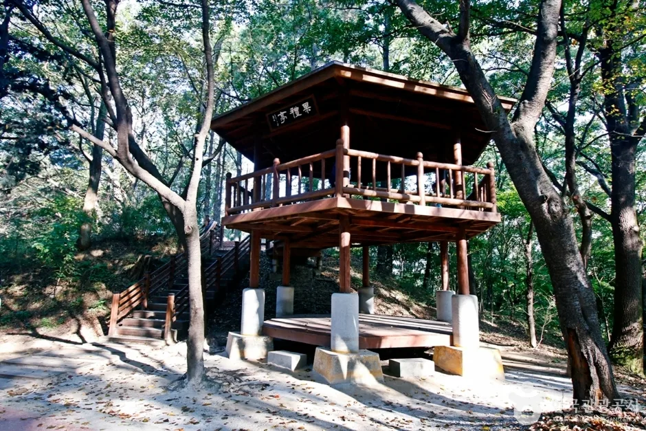 대전 보문산 행복 숲 둘레길 (11)