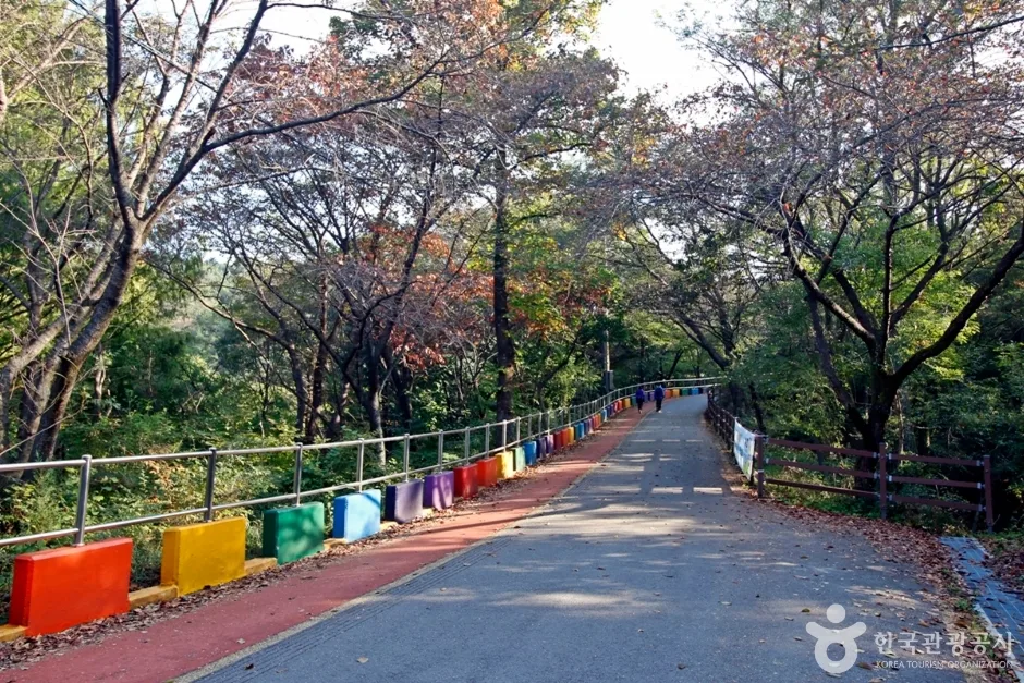대전 보문산 행복 숲 둘레길 (9)