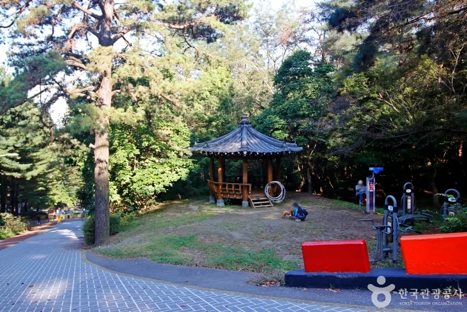 대전 보문산 행복 숲 둘레길 (2)