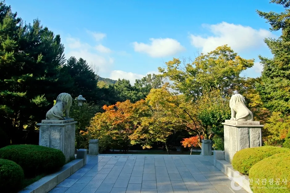 대전 보문산 행복 숲 둘레길 (4)