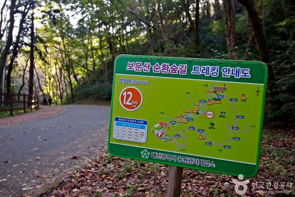 대전 보문산 행복 숲 둘레길 (13)