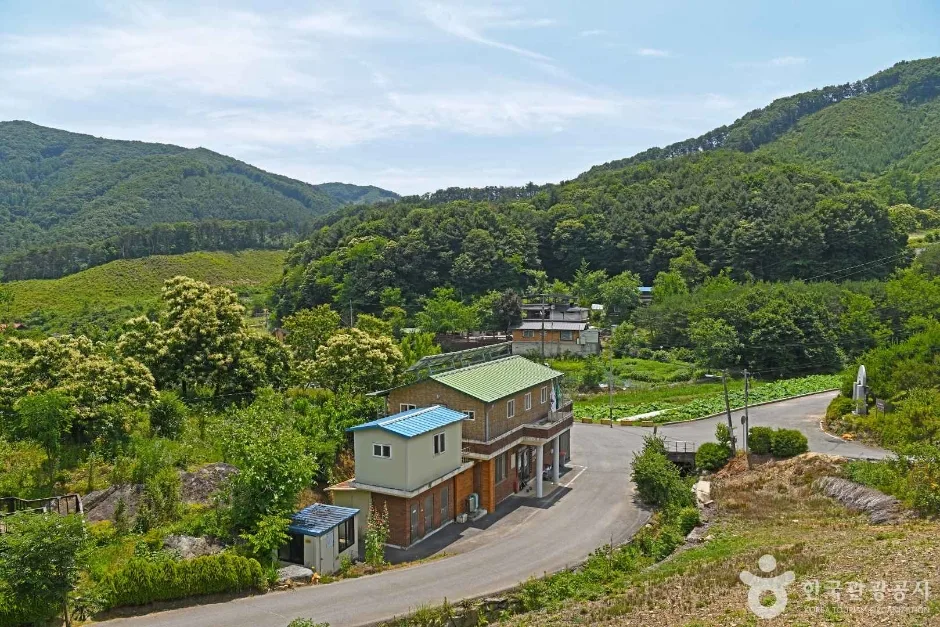 보련마을 (6)