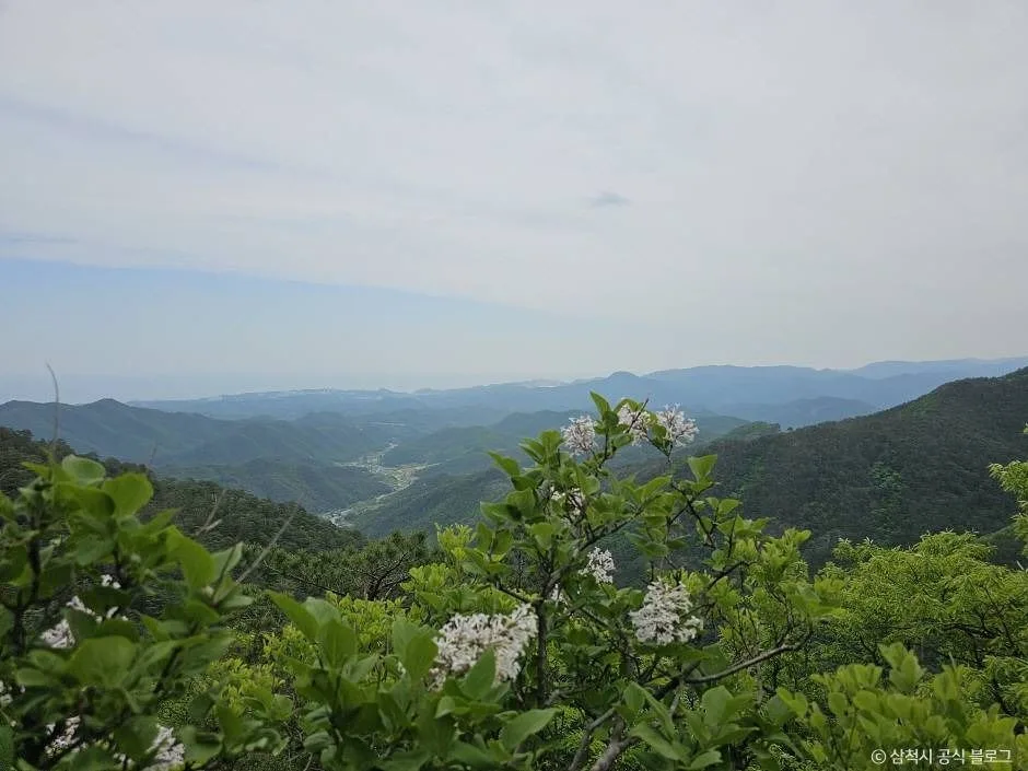 삼척_쉰움산 (2)