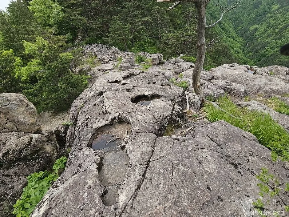 삼척_쉰움산 (5)