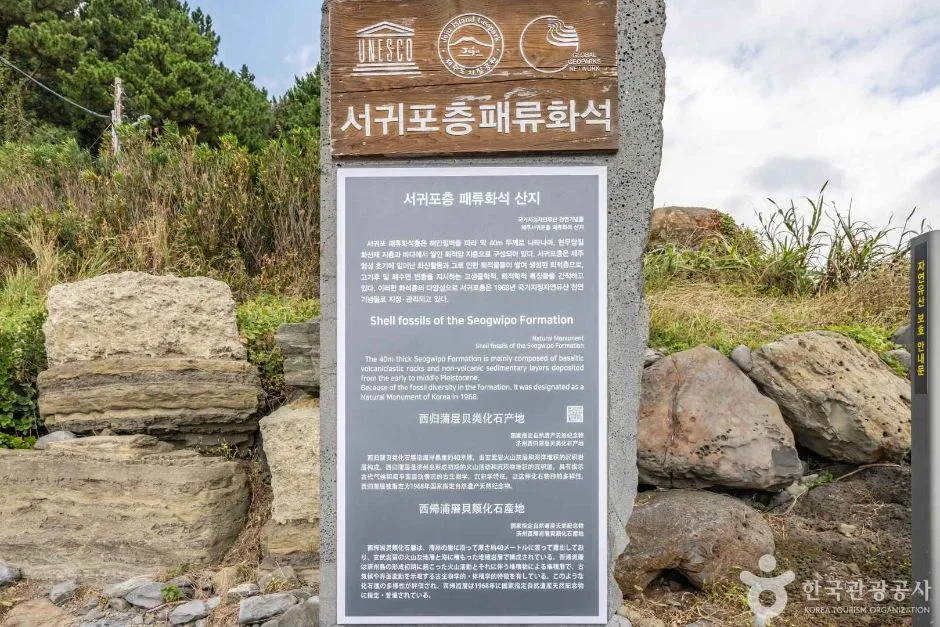 제주_서귀포시_서귀포 패류화석산지_2932006 (10)