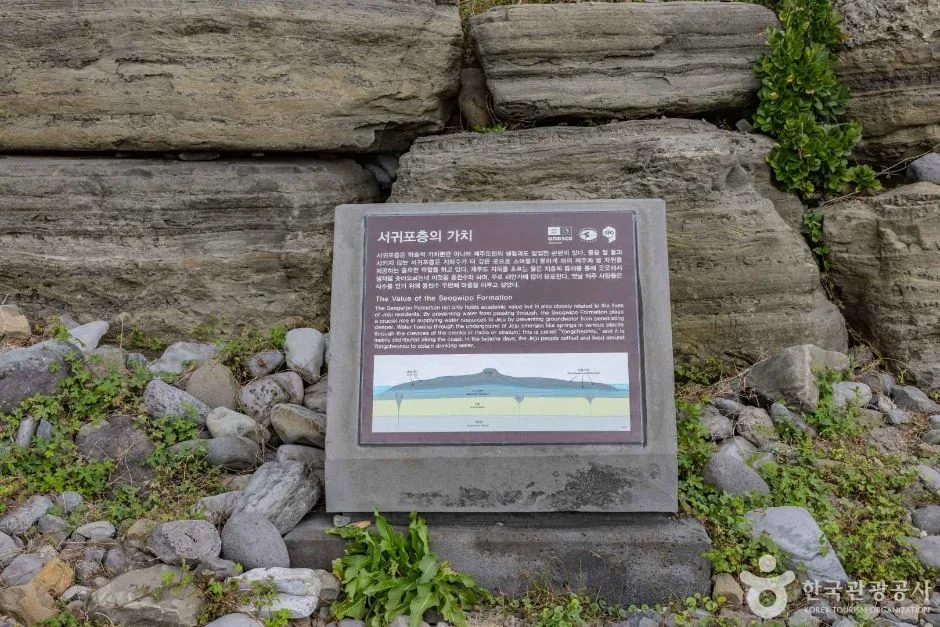 제주_서귀포시_서귀포 패류화석산지_2932006 (8)