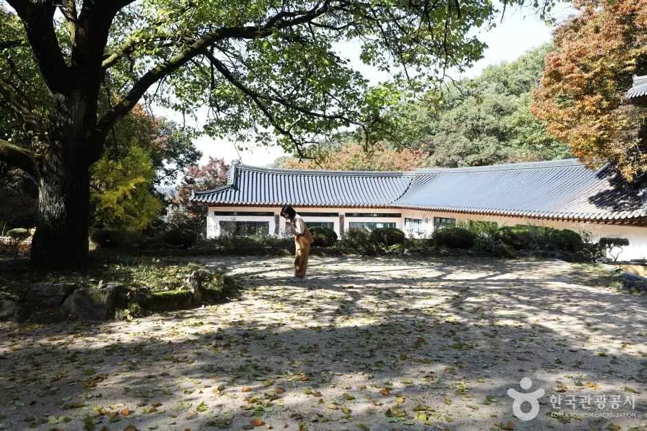 봉인사(경기) (10)