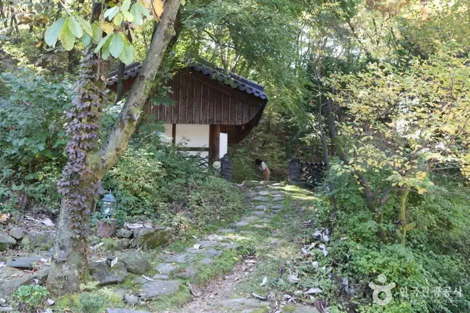 봉인사(경기) (4)