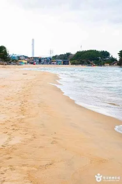 삼척_증산해변 (8)