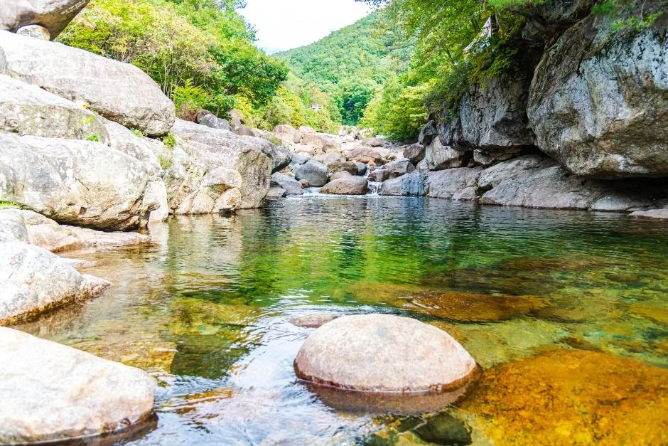 산청_중산리계곡 (4)