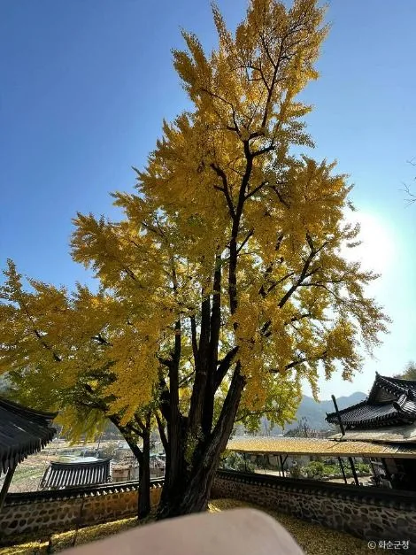 화순_학포당 (5)