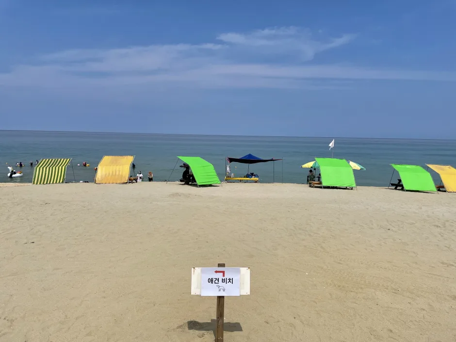 양양군_지경리해변 (2).jpg