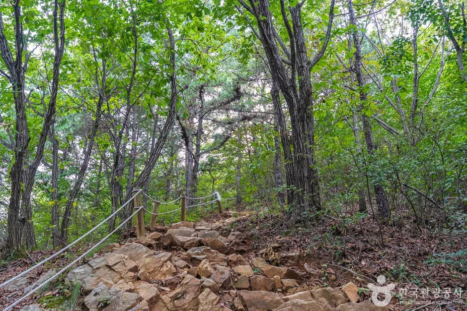 양성산 (7)