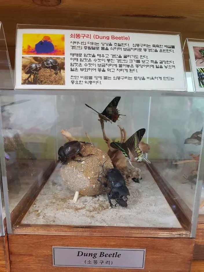 세산곤충체험농장_체험_2