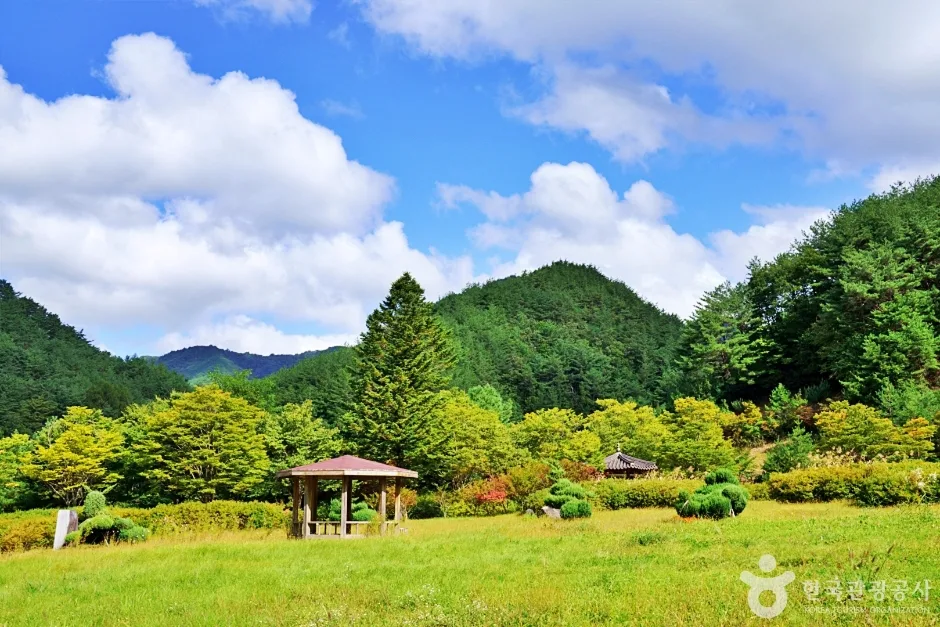 일월산 자생화공원 (4)