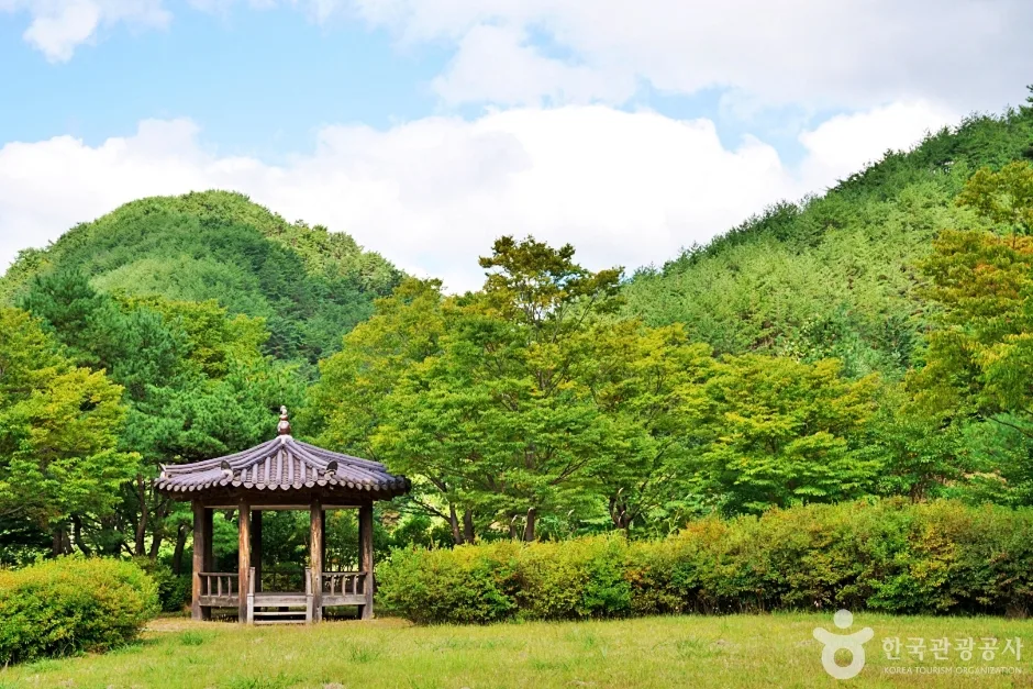 일월산 자생화공원 (14)