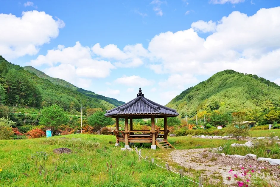 일월산 자생화공원 (5)