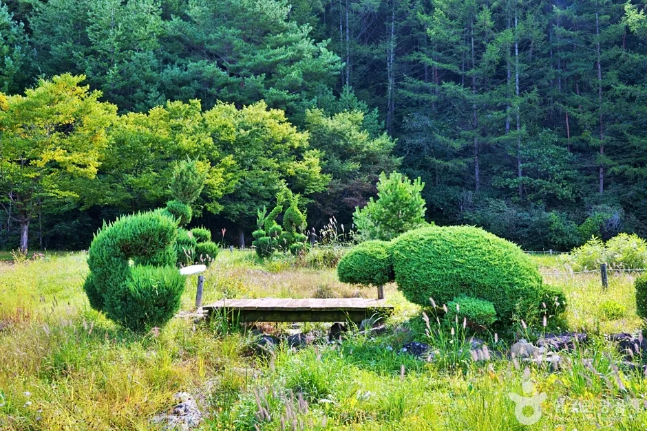 일월산 자생화공원 (9)