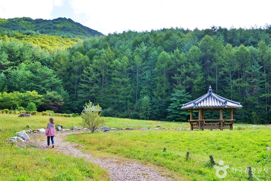일월산 자생화공원 (2)