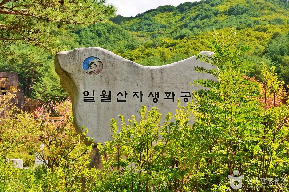 일월산 자생화공원 (13)