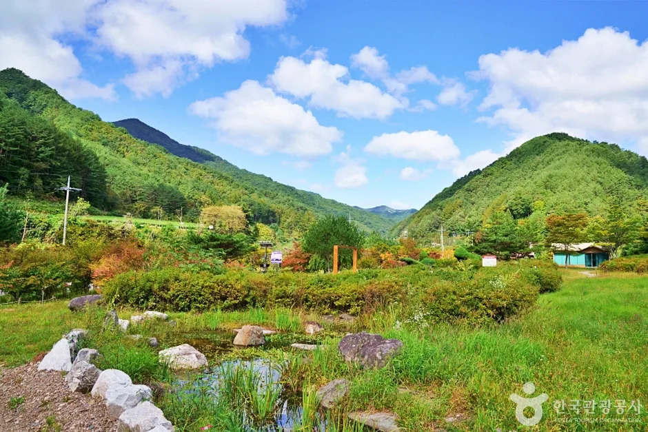 일월산 자생화공원 (3)