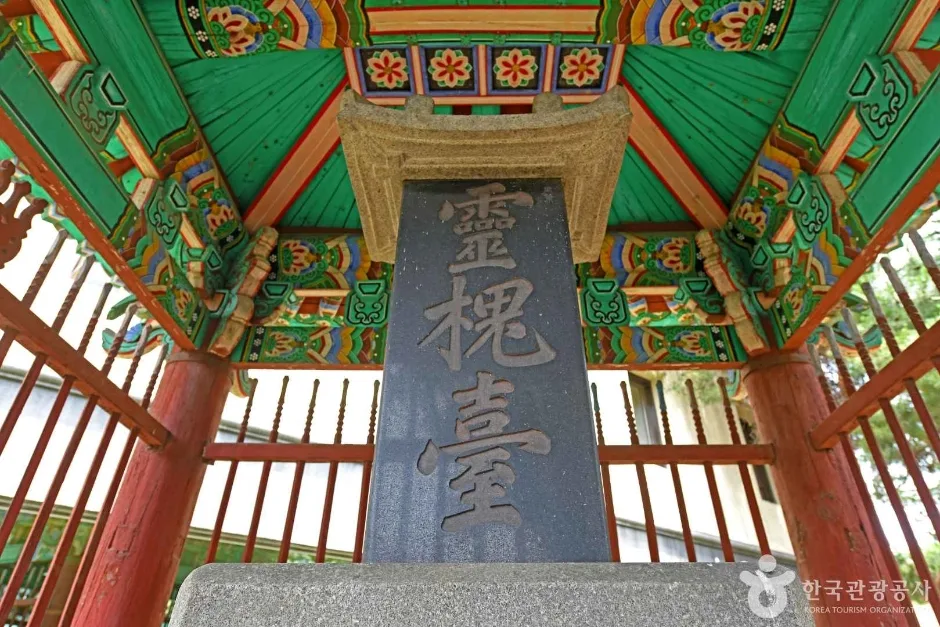 영괴대 (4)