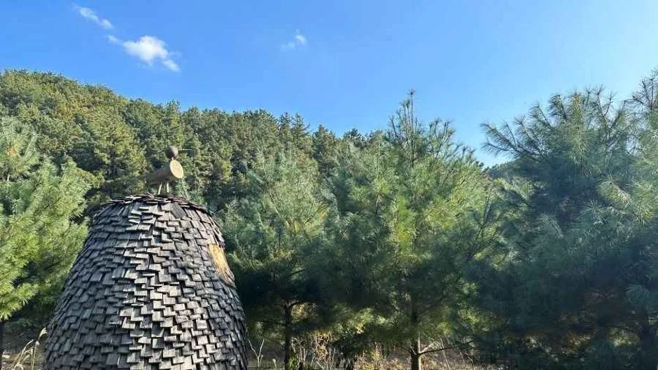 무봉산 자연휴양림_2