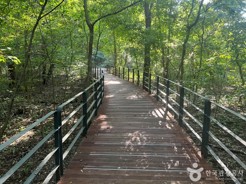 국립수목원 산림박물관_7